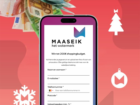 City of Maaseik use case